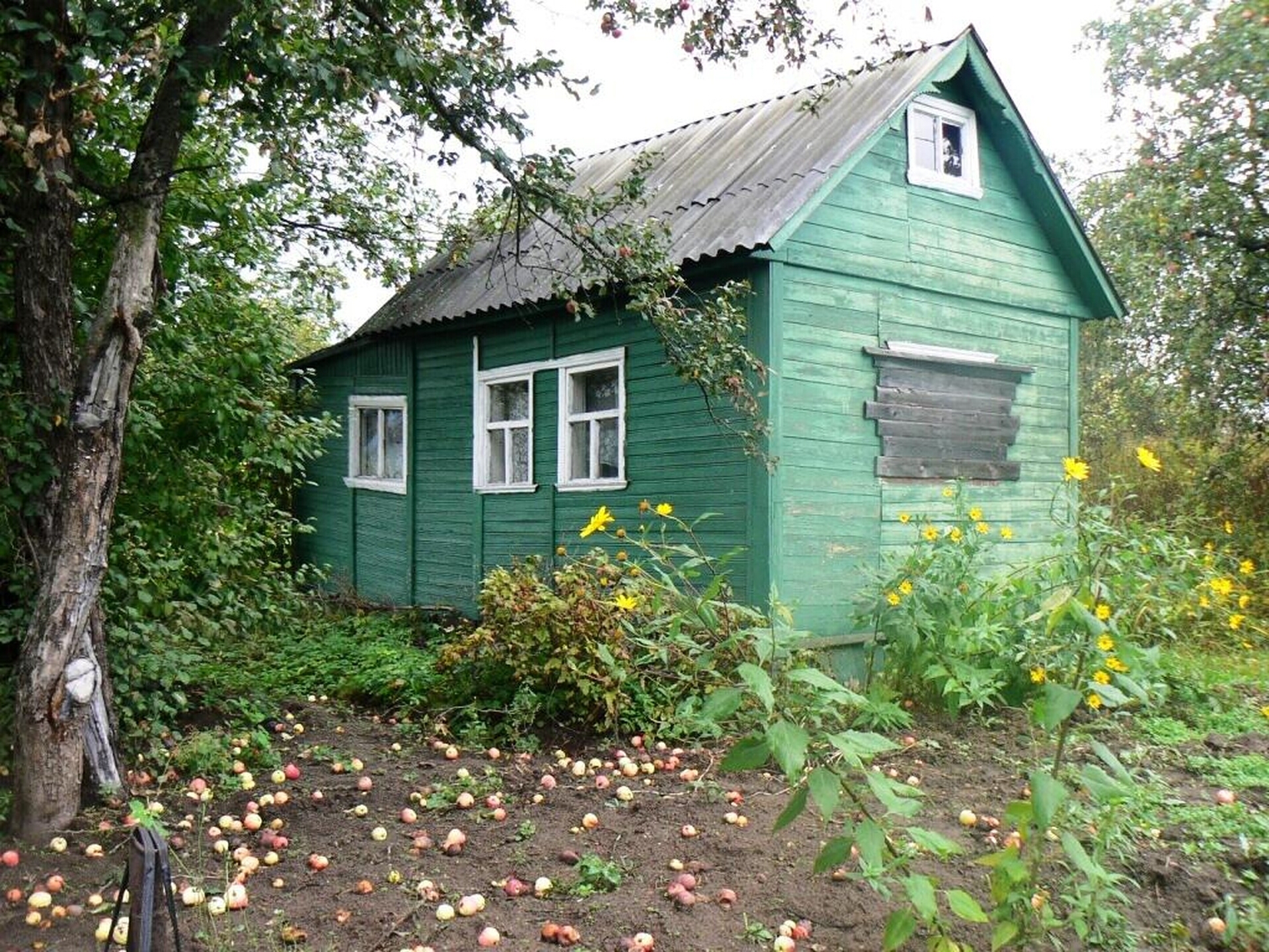 Охрана и безопасность на арендованной даче - контроль и предосторожности